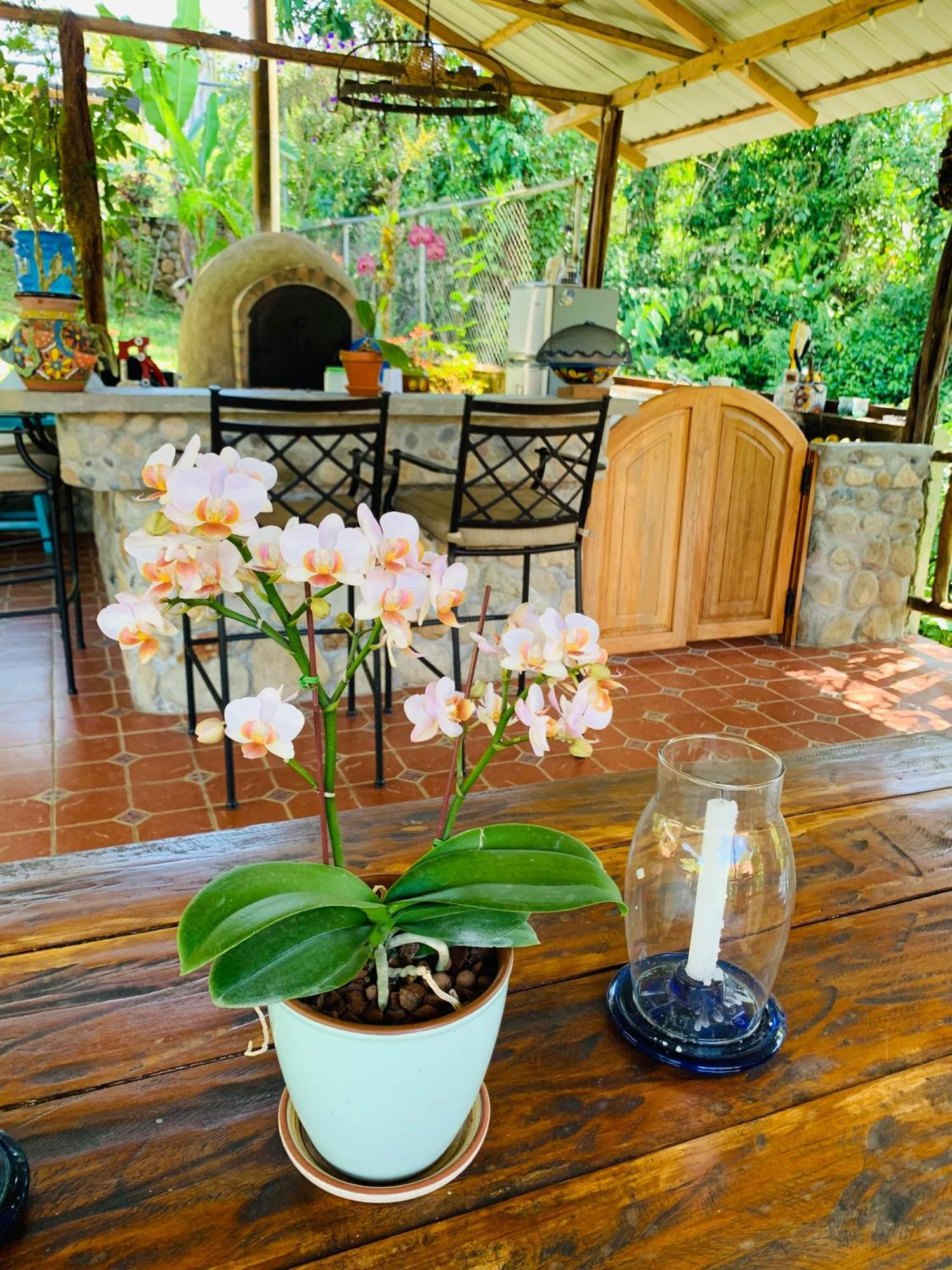 La Casa Del Rio B&B Puyo Ngoại thất bức ảnh