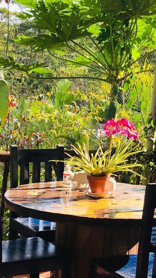 La Casa Del Rio B&B Puyo Ngoại thất bức ảnh