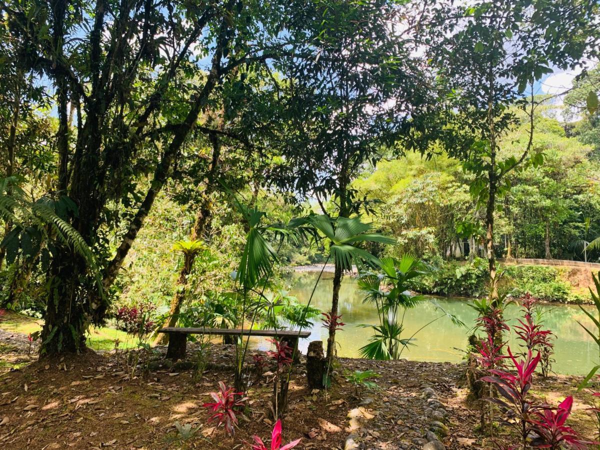 La Casa Del Rio B&B Puyo Ngoại thất bức ảnh