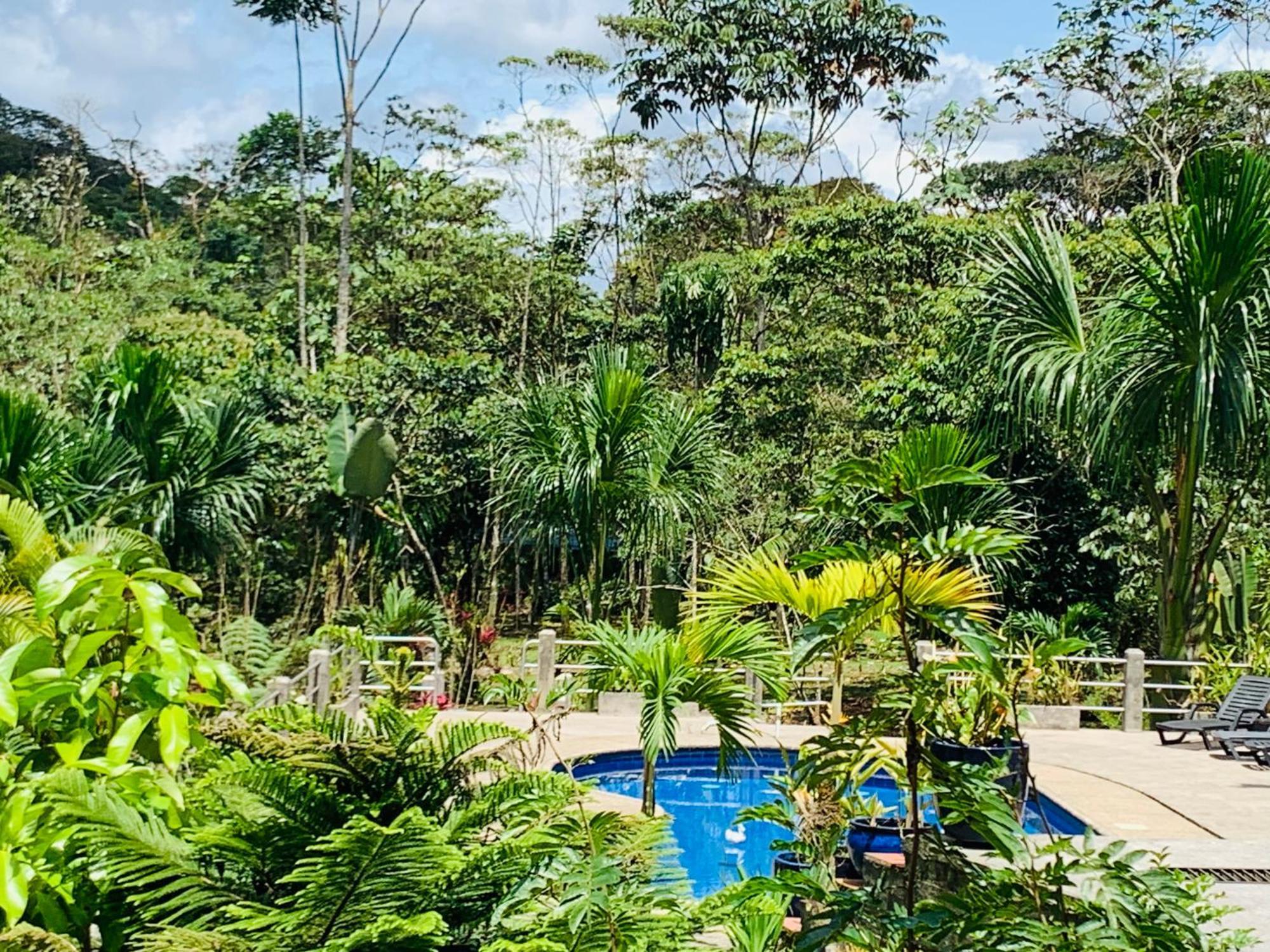 La Casa Del Rio B&B Puyo Ngoại thất bức ảnh