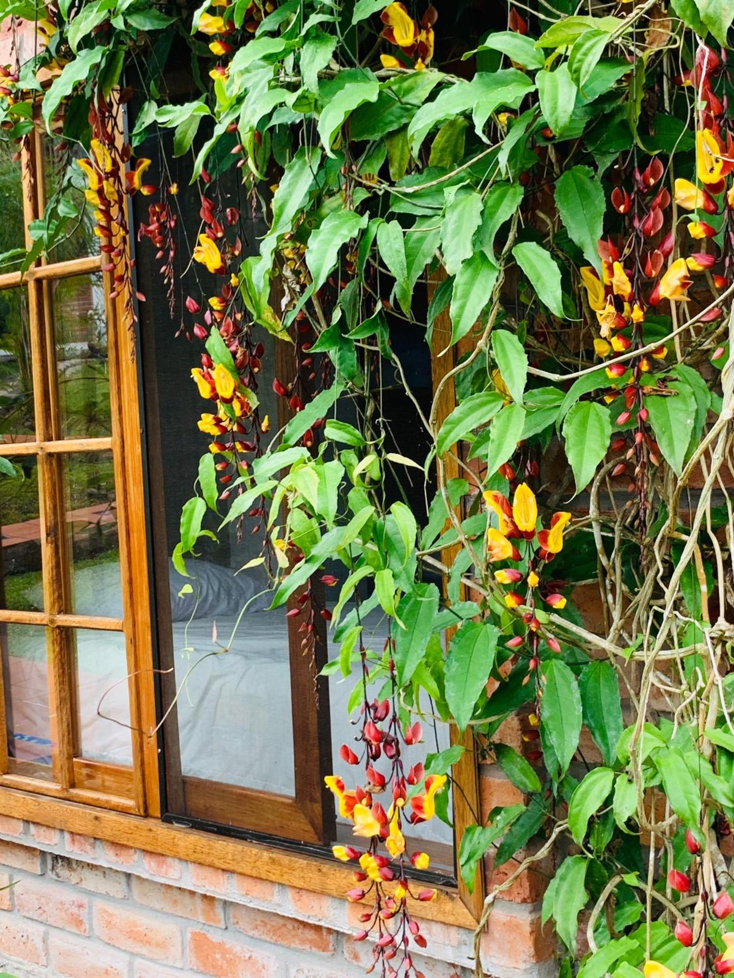 La Casa Del Rio B&B Puyo Ngoại thất bức ảnh