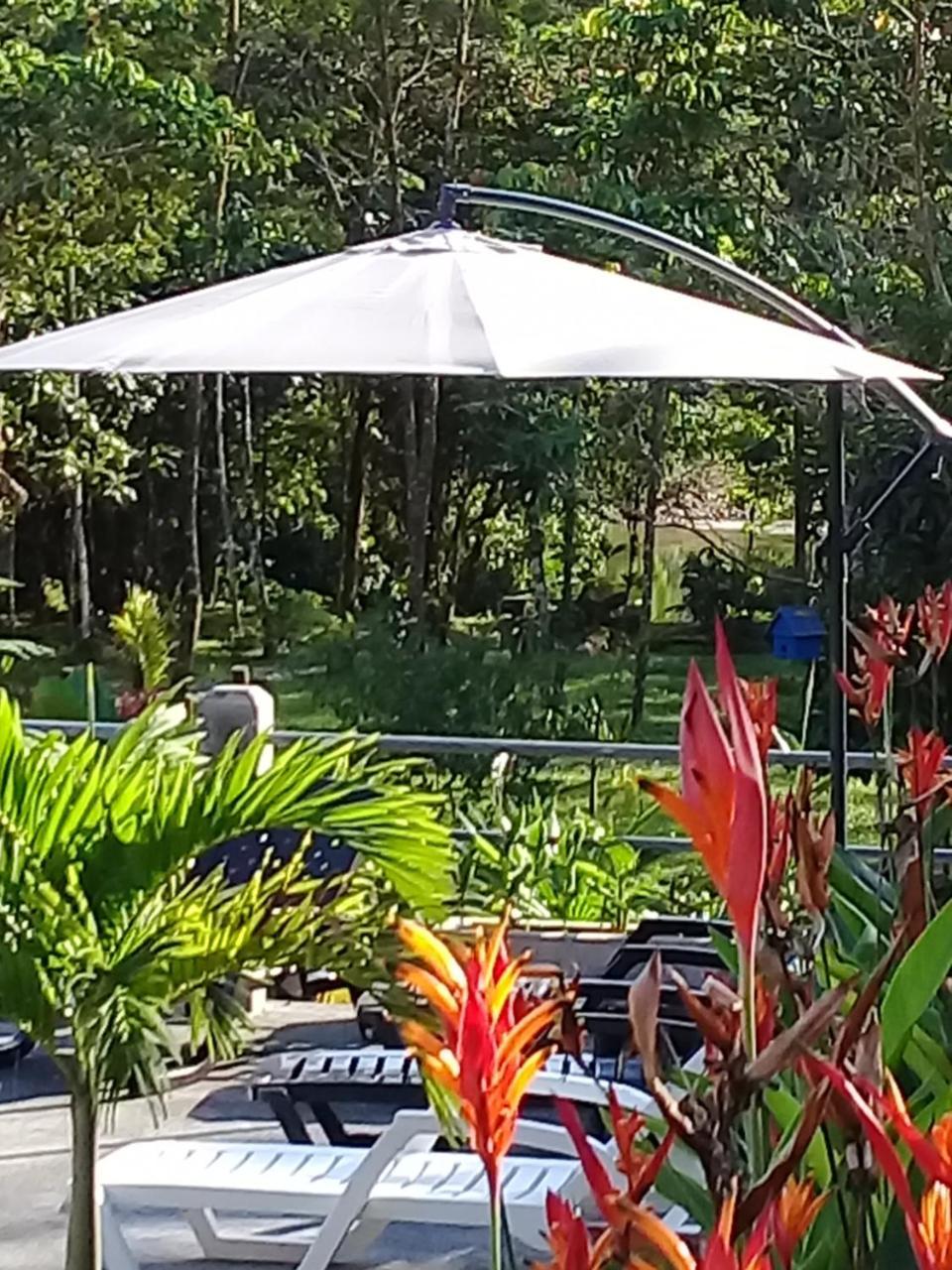La Casa Del Rio B&B Puyo Ngoại thất bức ảnh