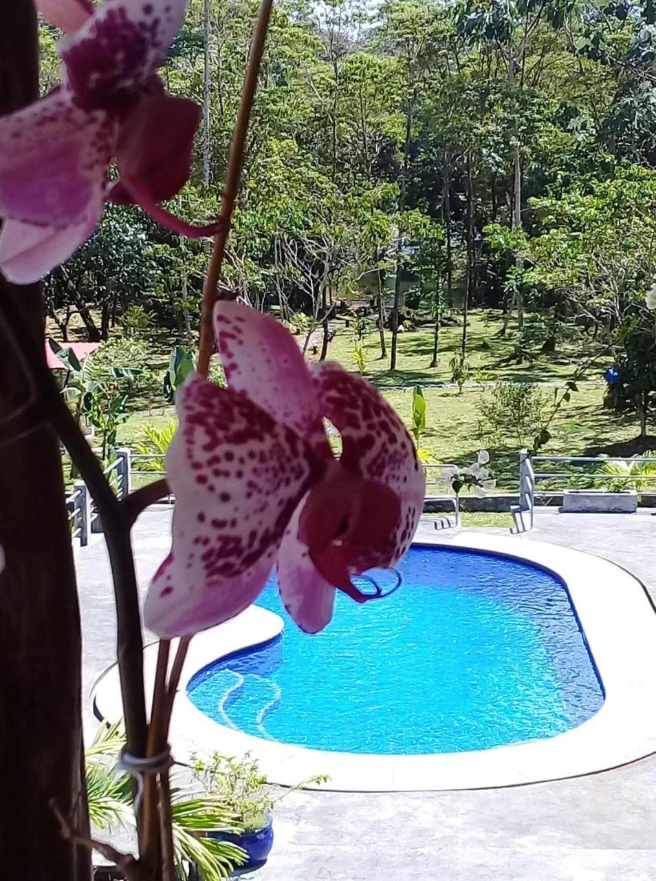 La Casa Del Rio B&B Puyo Ngoại thất bức ảnh